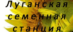 Luganskaya_sem_stan