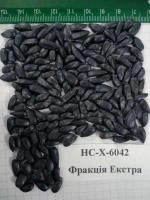 Семена подсолнуха «НС-Х-6042» (Сербский гибрид)