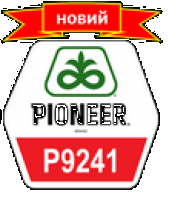 Семена кукурузы Пионер П9241, Pioneer P9241