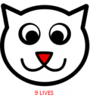 логотип Ветмаркет "9 Жизней"