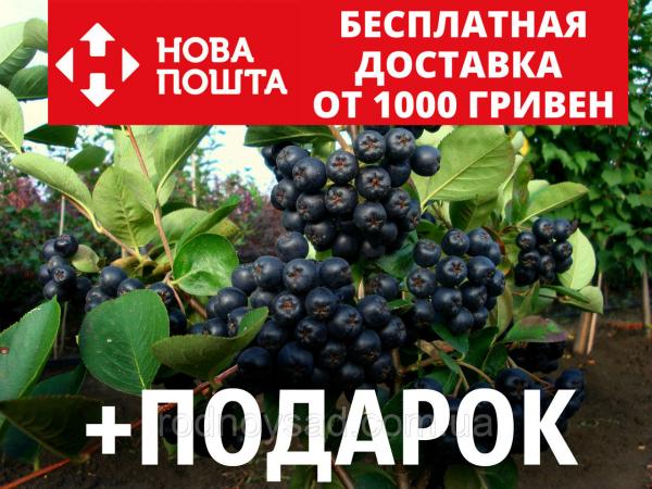 Рустам Нургалиев | ВКонтакте