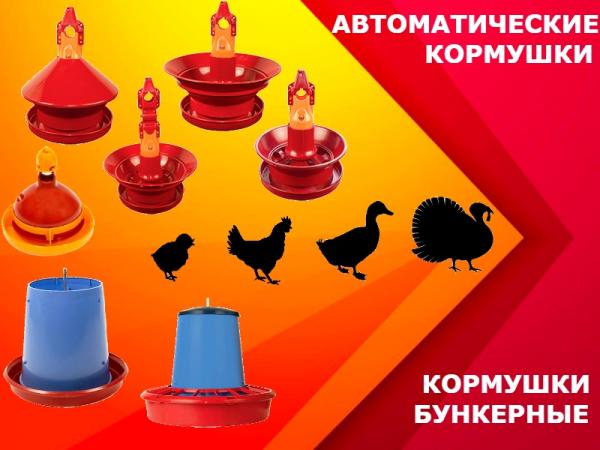 Навесные кормушки – купить по цене от руб. | Интернет–магазин luchistii-sudak.ru