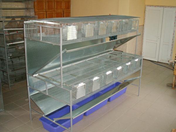 Клетки для кроликов — купить в Москве в интернет-магазине «PetsCage»