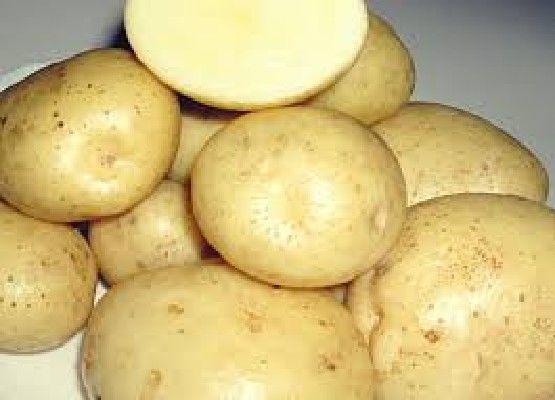 Картофель сорта Гранада: описание, характеристики и болезни