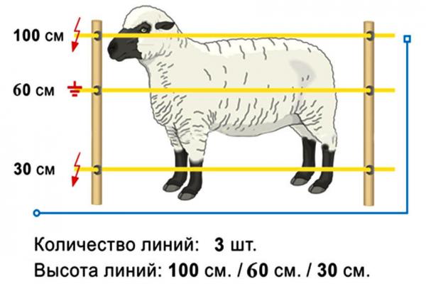 Ответы на вопросы