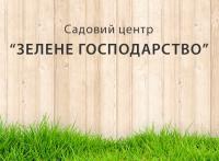 Цинерария Микс, цветы Киев, вазоны оптом, доставка по Украине, Мікс (На Ваш вибір)