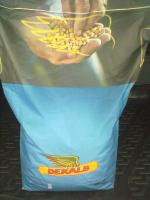 Семена кукуруза Monsanto (Монсанто)  Dekalb. Оригинал 100%! Недорого!