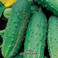 Семена огурцов "Неженский"