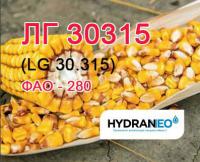 Семена кукурузы Лимагрейн LG 30315 ФАО 280 Limagrain