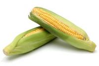 Наномикс кукуруза (Обработка семян)