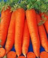 Семена моркови Вита Лонга