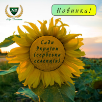 Семена подсолнечника Сады Украины