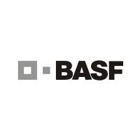 Родентицид Шторм Basf, 1 кг