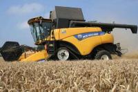 Услуга комбайна New Holland, уборка урожая, уборка подсолнечника