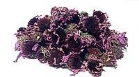 Эхинацея пурпурная, цветки, 100 г
