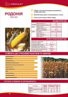 Гибрид кукурудзы Родония ФАО 360 Лабуле