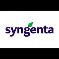 Протектор Премакс, 4х1 л, Syngenta