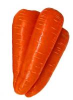 Семена моркови Нью Курода, 2.4 мм, Asia Seed Korea, 500 г