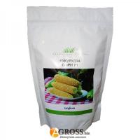 Семена кукурузы сладкой Спирит F1, Syngenta, 500 г