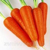 Абако Ф1 200 000 семян (1.6-1.8), морковь Семенис