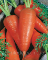 Карнавал 0.5 кг, морковь Наско