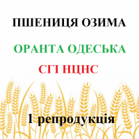 Оранта Одесская Озимая мягкая пшеница 1 репродукция