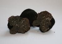 Мицелий чёрного трюфеля гриб Tuber melanosporum семена (перигорский или французский) настоящий 0,5 литра