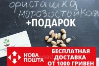 Семена фисташки (10 штук) морозостойкой (-35°C) орехи Pistácia véra для сеянцев и саженцев + инструкции