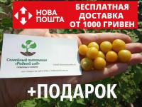 Физалис земляничный семена 50 шт фізаліс насіння + инструкции