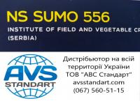 Насіння сербського соняшника НС Сумо 556 під Експресс Гранстар 50 грамм, Врожайний гібрид Сумо 38ц/га. Преміум