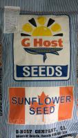 Семена подсолнечника GHOST SUNLIT (GS 29032) (ДЖИХОСТ)