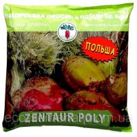 Семена Свекла кормовая Центаур Поли, Польша, ФУ, 1 кг