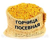 Семена Горчица Желтая на сидерат, мешок 10 кг