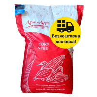 Семена кукурузы гибрид Руни ФАО 320 (2021 год), ТК Арт-Агро, Украина