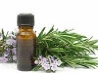 Папоротник мужской (Dryopteris fílix-mas L.) вытяжка 50%