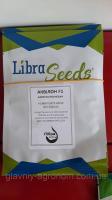 Семена капусты пекинской Аквилон F1 Либра Сидс (Libra Seeds) 2500шт