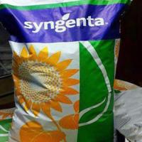 Семена подсолнечника Syngenta Субаро HTS под Гранстар посевной гибрид подсолнуха Сингента Субару НТС