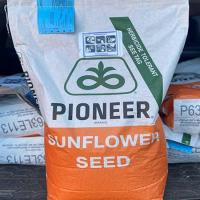Семена подсолнечника Pioneer P63LL01 посевной гибрид подсолнуха Пионер П63ЛЛ01