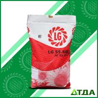 Семена подсолнечника ЛГ 5580