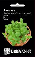 Семена базилика Боназза, 0,3 гр., зеленого, генуэзский тип, ТМ "ЛедаАгро"