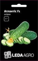 Семена огурца Атлантис F1, 20 шт., женского типа цветения, ТМ "ЛедаАгро"