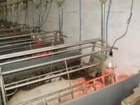 Оборудование для выращивания и содержания свиней